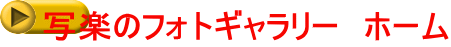 写楽のフォトギャラリー　ホーム