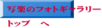写楽のフォトギャラリー トップ へ