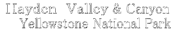 Canyon & �g�����������@�u���������� �@�@Yellowstone National Park  